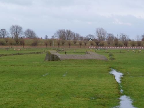 Group Shelter Spaarndam #3