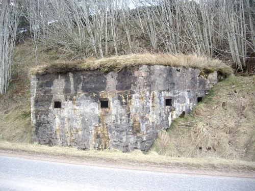 Pillbox Tillylodge #2