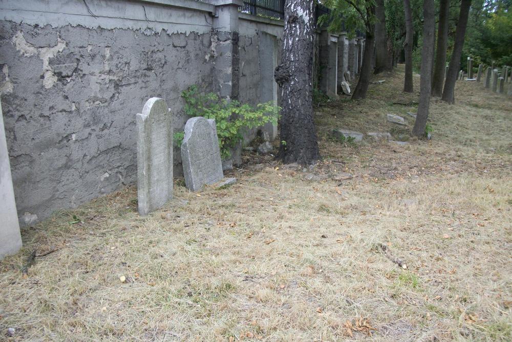 Jewish Cemetery Oswiecim #5