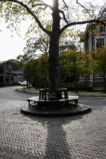 Bench Evacuees of Amersfoort May 1940 Bergen #4