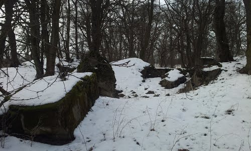 Oderstellung - Remains Casemate