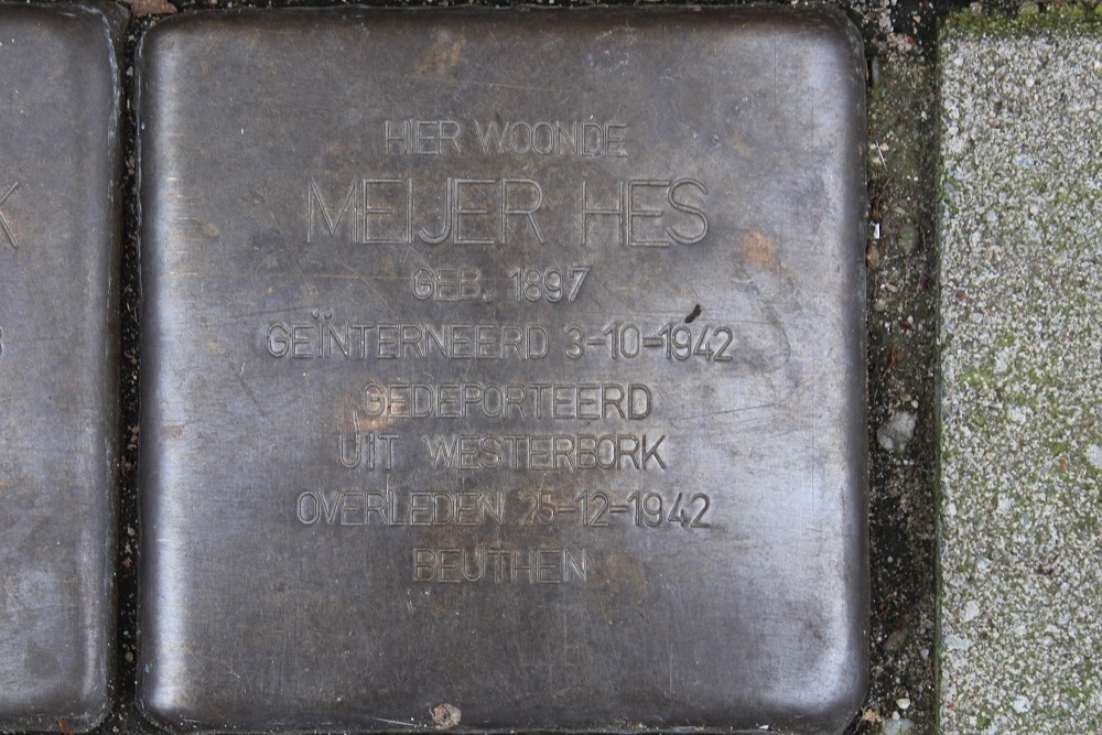 Stolpersteine Tweede Jan Steenstraat 63 #3