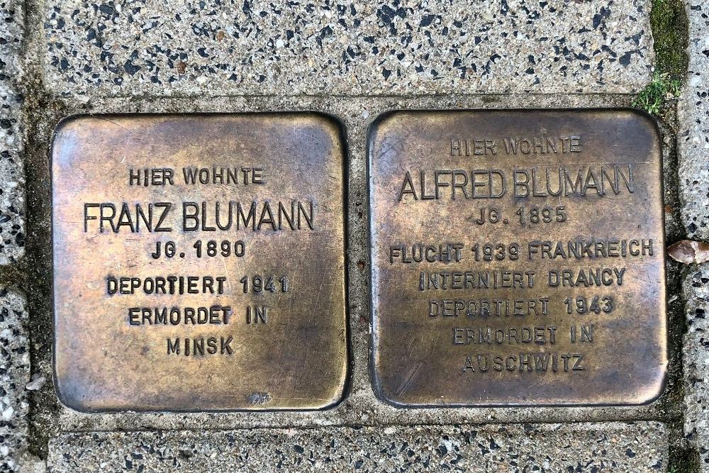 Stumbling Stones Hallerplatz 8 #1