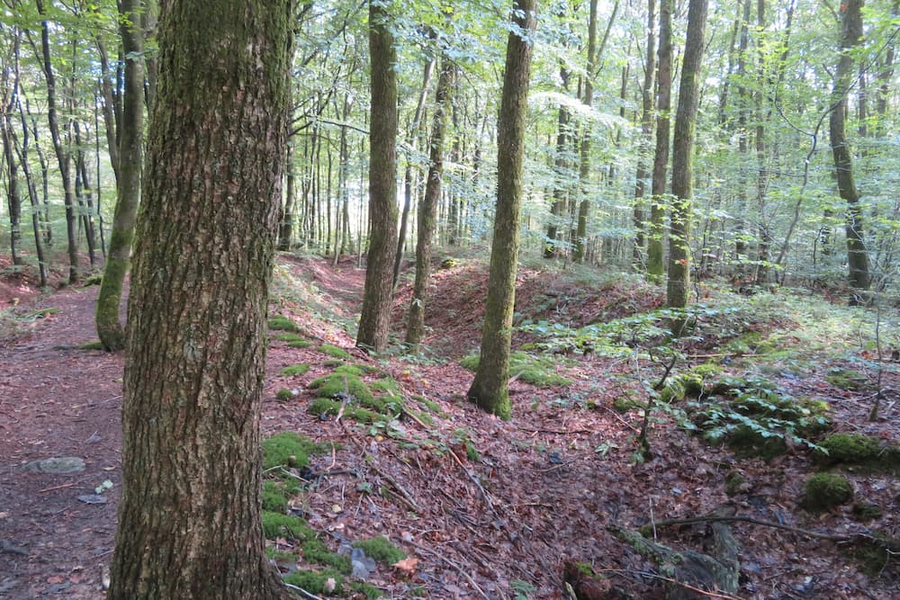 German Trenches Schumannseck - Nothum - TracesOfWar.com