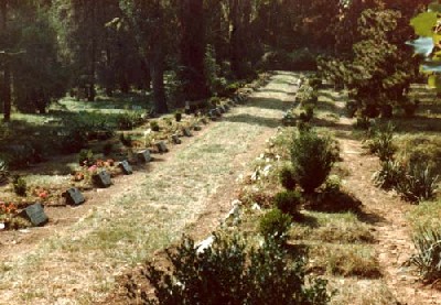 War Graves Debrecen #2