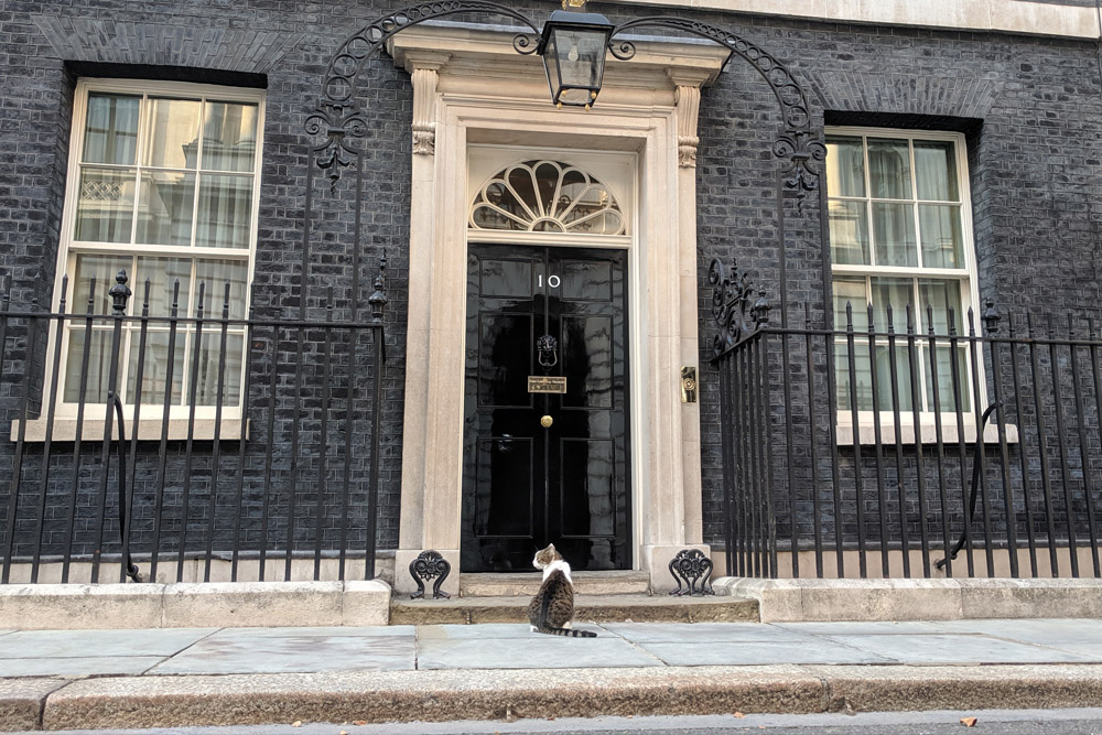 10 Downing Street