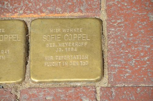 Stolpersteine Neustrae 33 #2