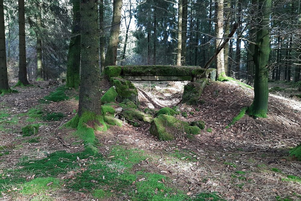 German Bunker Hollerath