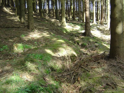 Duitse Loopgraven op Ochsenkopf #2