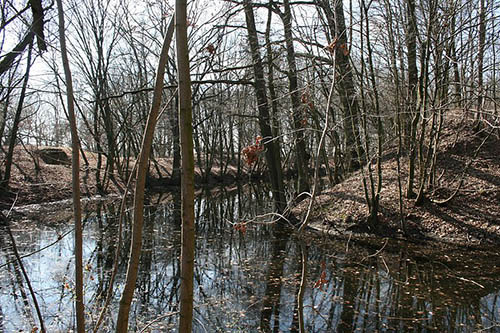 Festung Kstrin - Lnette D #1