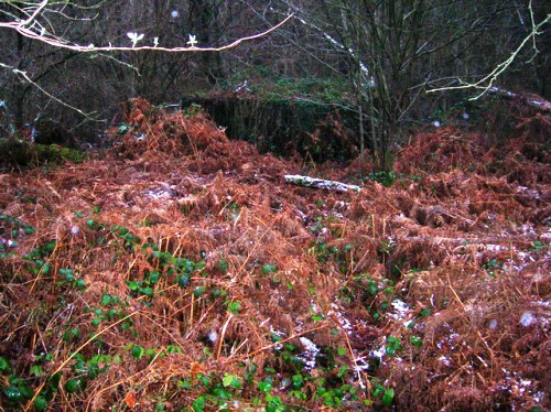 Bunker FW3/24 Jarvis Brook #1