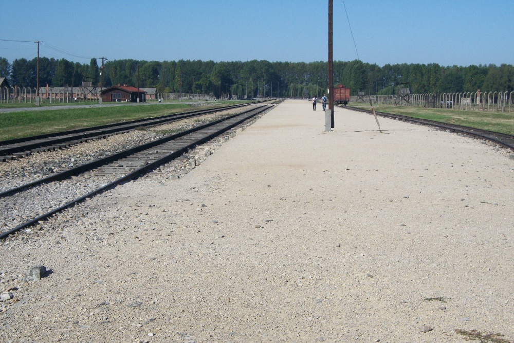 New Jew Platform Auschwitz II (Birkenau) #3