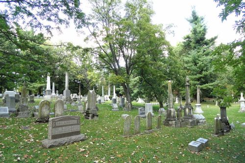 Commonwealth War Grave Cove Haven Cemetery #1