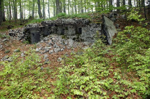 Alpenmuur - MG-bunker Trstenik #1