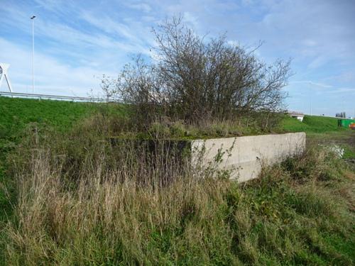 Unfinished Group Shelter Vechten #2