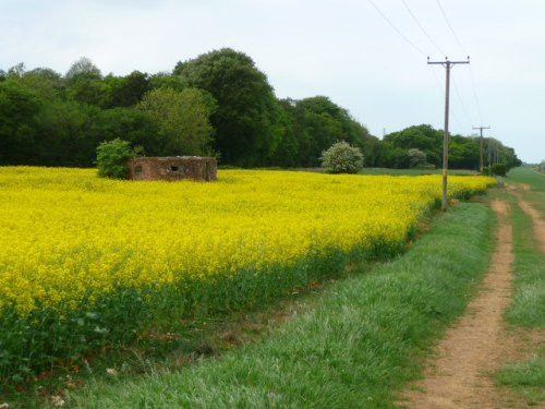 Pillbox FW3/22 East Dean #1