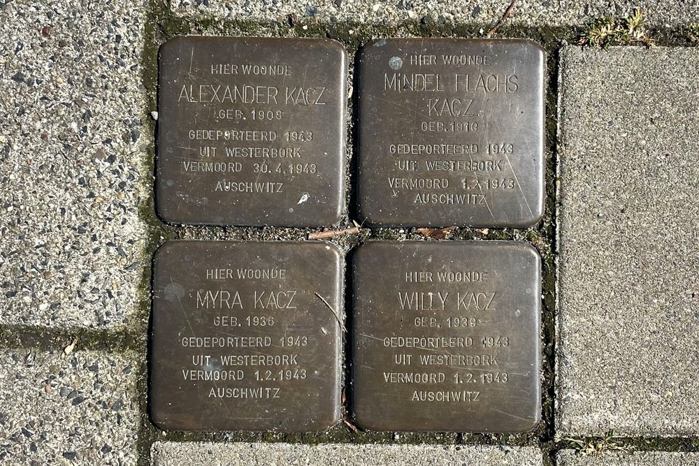 Stolpersteine Bosschestraat 95 #1