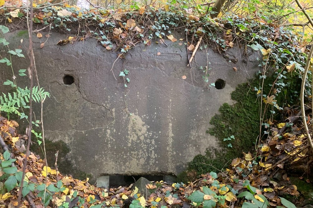Bunker BV 20-2 Pepinster #4