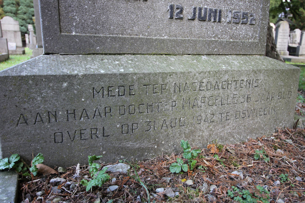 Jewish War Graves General Cemetery Maastricht #1