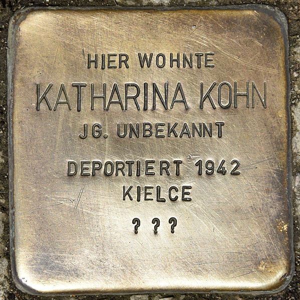 Stumbling Stones Wienerstraße 11 #2
