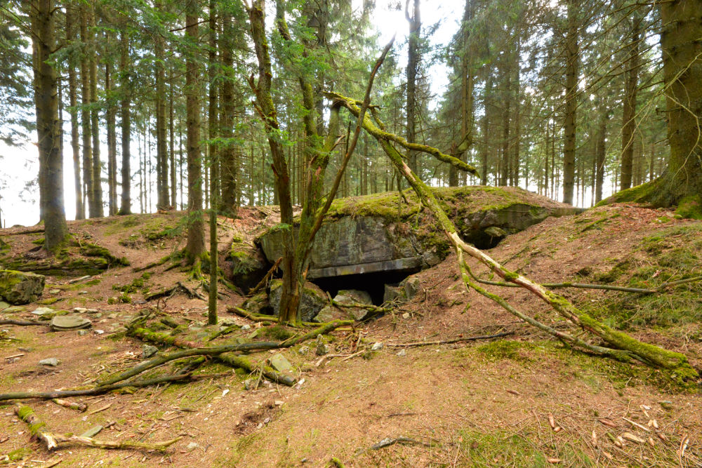 Bunker P105 Ochsenkopf-Peterberg #2