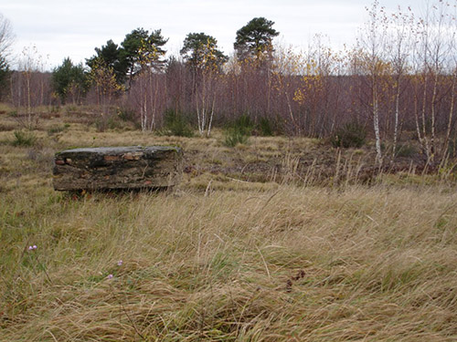 Remains German Bunker