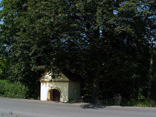 Austrian-Russian War Cemetery No.374 #1