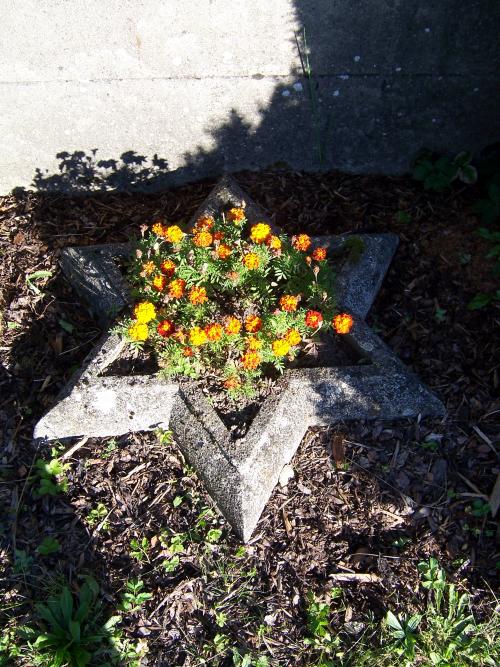 Jewish Mass Grave at Běl nad Svitavou #4