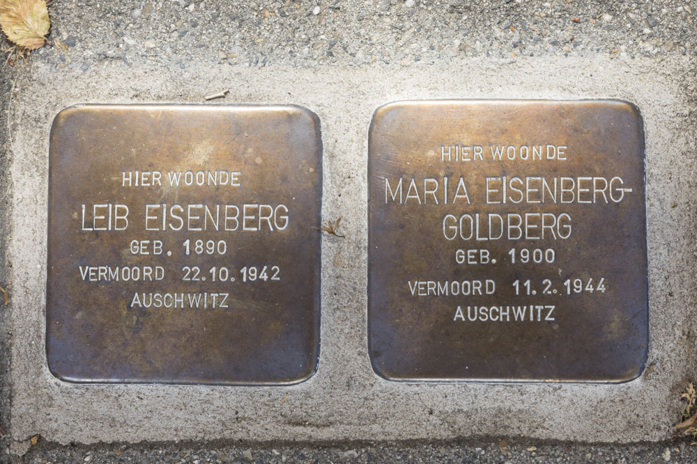 Stolpersteine Emmalaan 29 #1