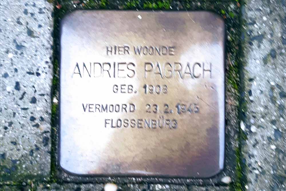 Stolperstein Anemoonstraat 43 #1