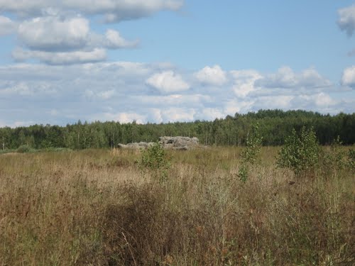 Stalin Line - Remains Casemate #1