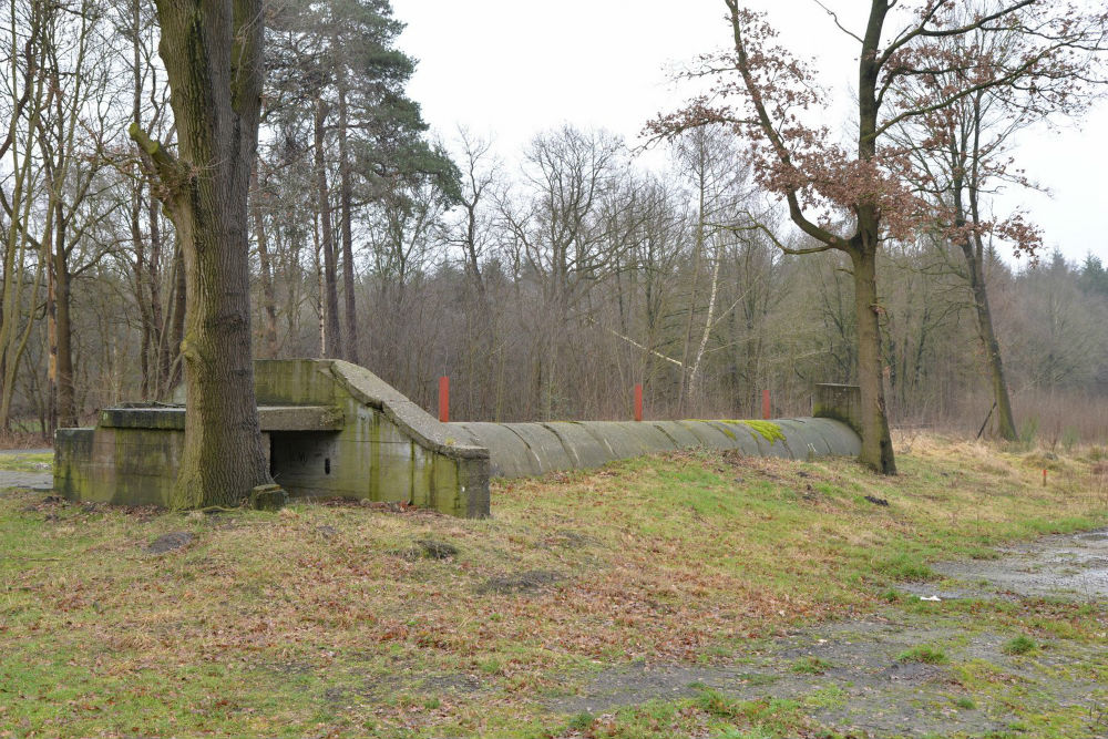 Air Raid Shelter Varrelsbusch Staatsforsten #5
