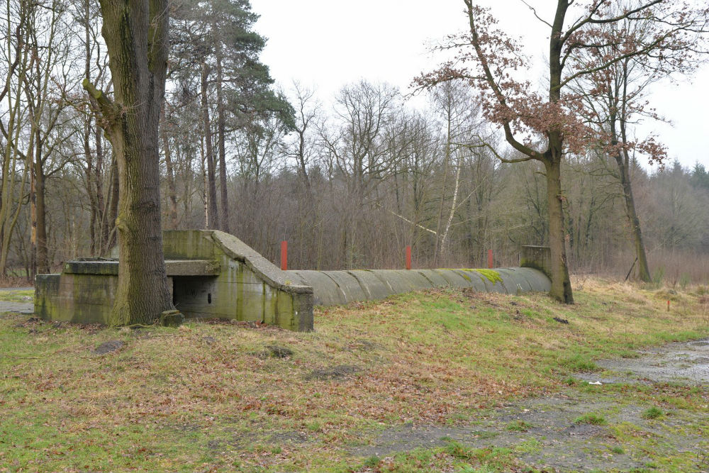 Schuilbunker Varrelsbusch Staatsforsten #5