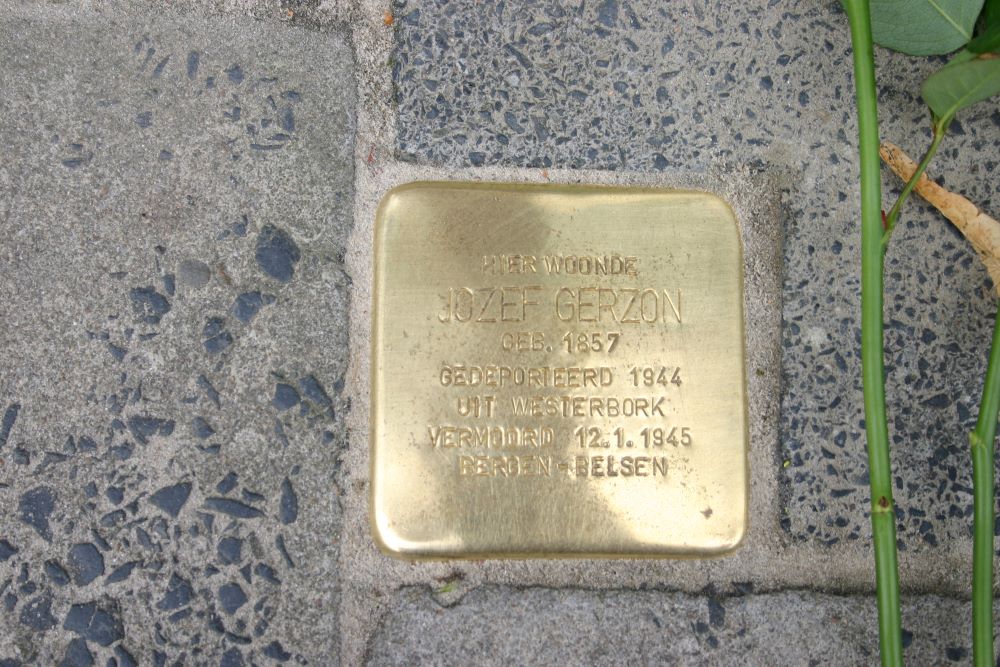 Stolpersteine Westersingel 40 #3