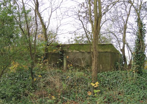 Bunker 5 Stützpunkt Brünhild 'Park Tooenvliedt' #2