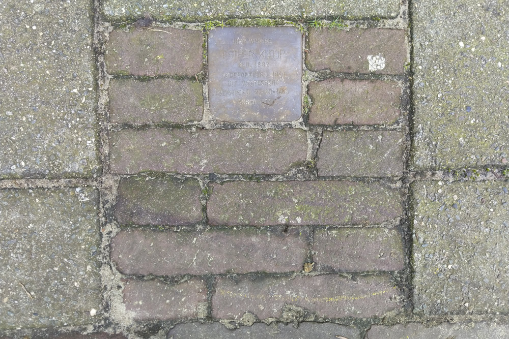 Stolperstein Vondelstraat 3 #2