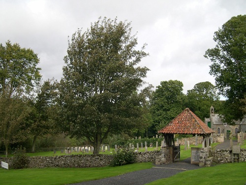 Commonwealth War Graves Fogo Churchyard #1