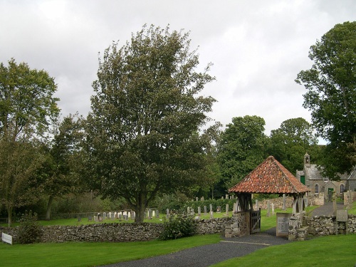 Oorlogsgraven van het Gemenebest Fogo Churchyard #1