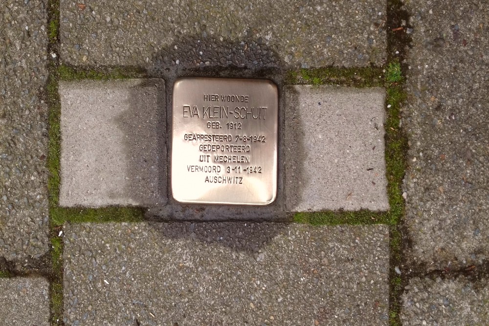 Stolperstein Raphaëlstraat 6 #3