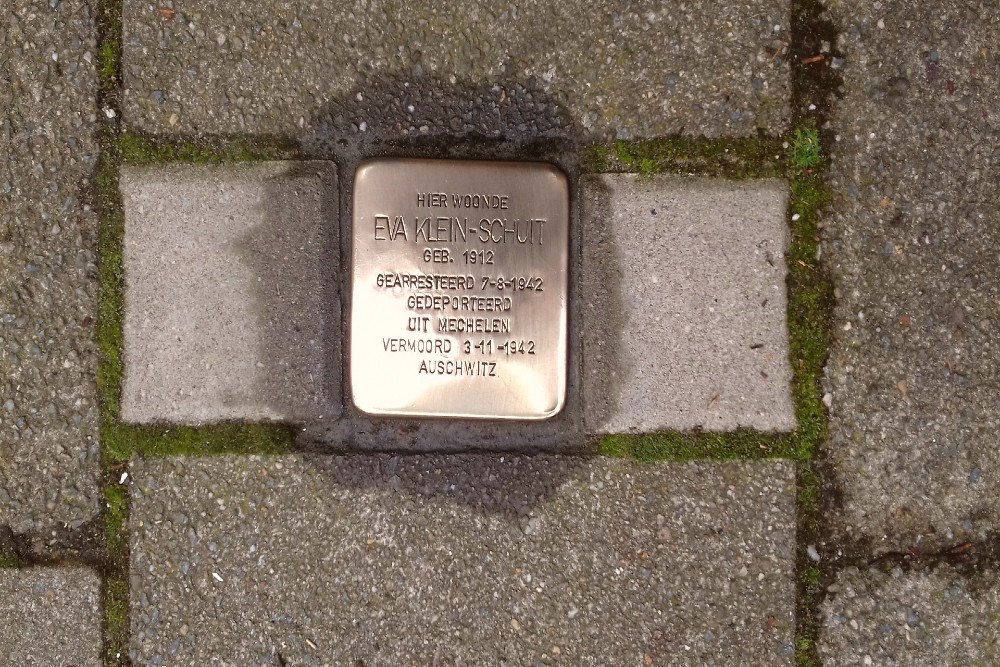 Stolperstein Raphalstraat 6 #3