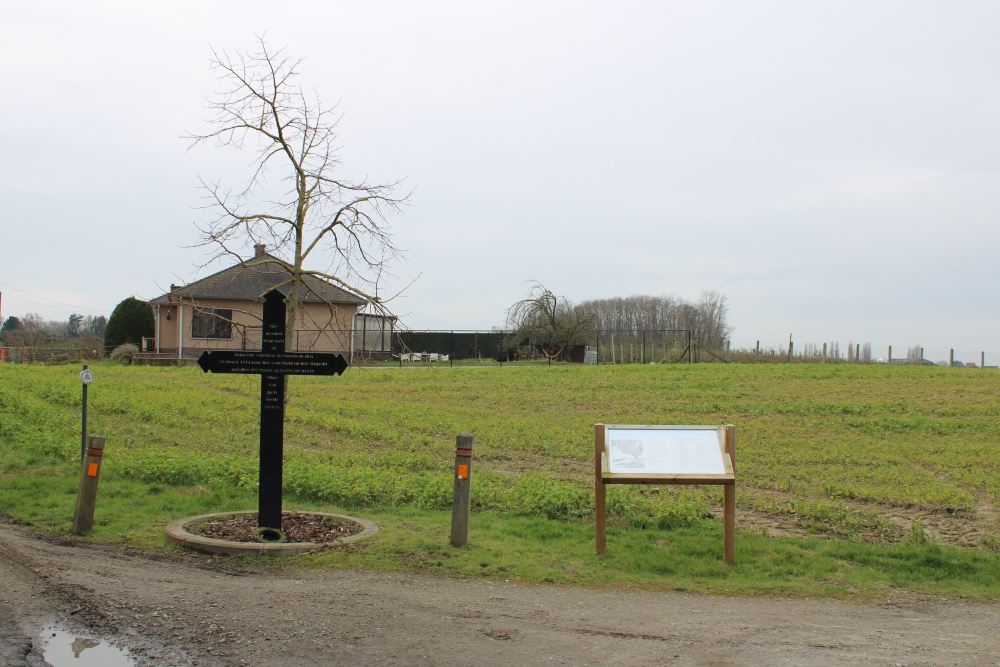 Herinneringskruis en Vredesboom Bunsbeek