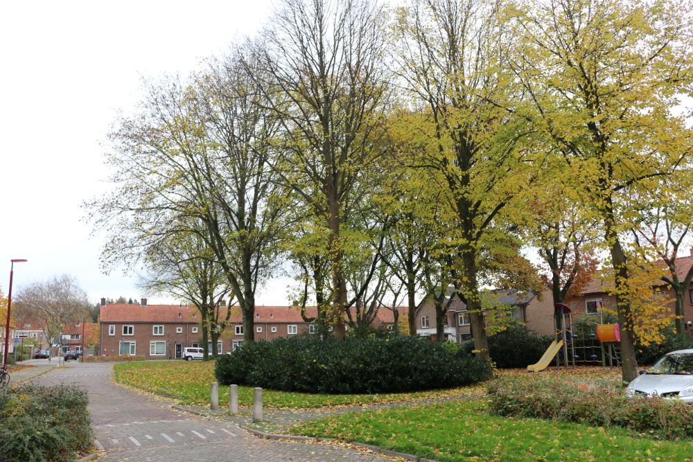 Camp Drilleveld Nieuwegein