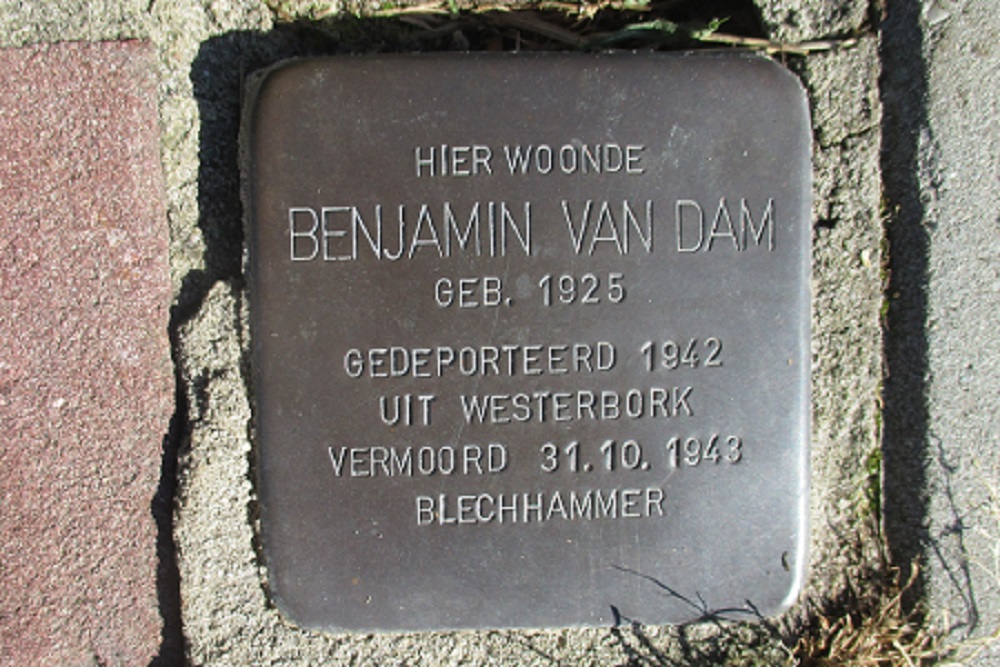 Stolpersteine Veenhoopsweg 49 #5