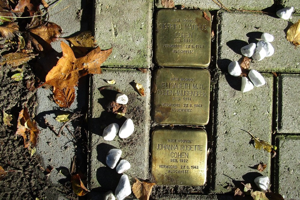 Stolpersteine Hasebroeklaan 13 #1