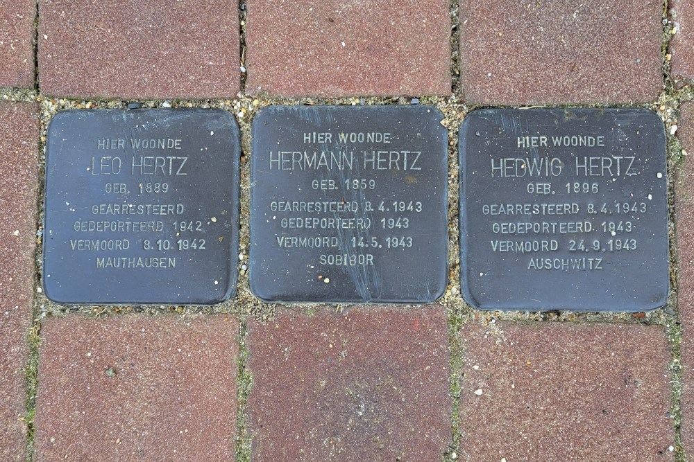 Stolpersteine Bovenste Puth 79 #1