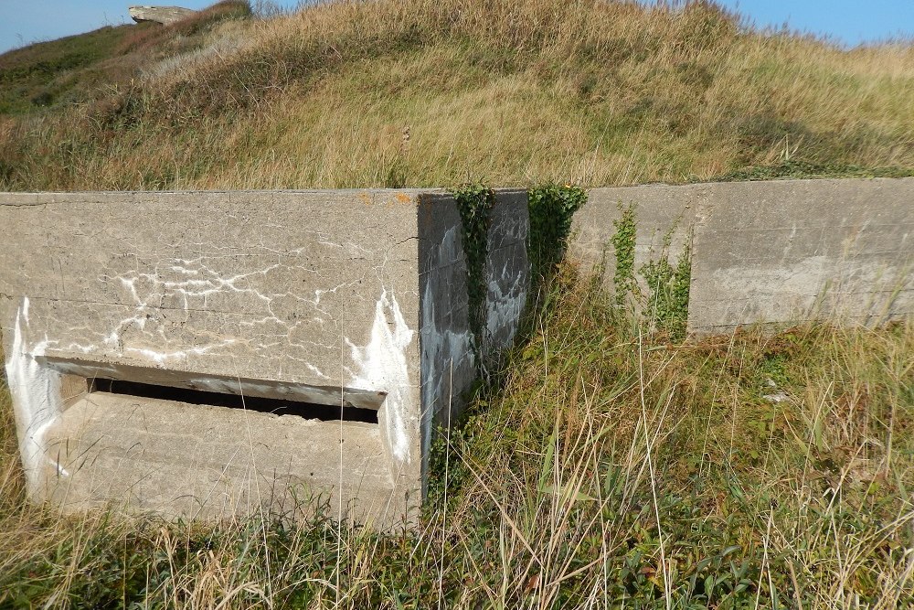 Sttzpunkt 274 Kornblume - FA Beobachtung