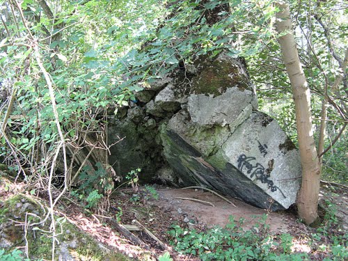 Remains Polish Casemate