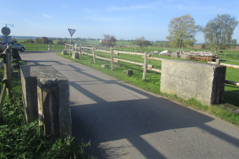 Westwall - Road Block