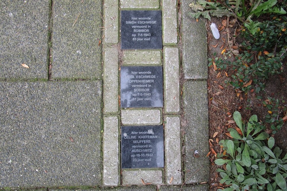 Memorial Stones Celsiusstraat 35 #1