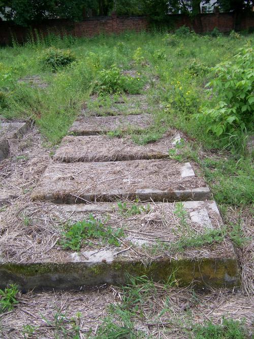 Jewish Cemetery Lodz #4